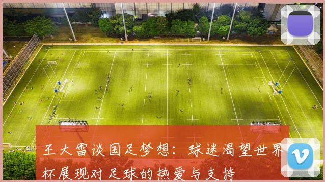 王大雷谈国足梦想：球迷渴望世界杯展现对足球的热爱与支持