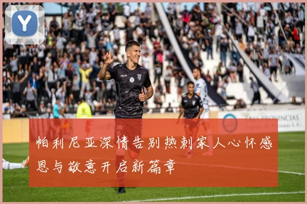 帕利尼亚深情告别热刺家人心怀感恩与敬意开启新篇章