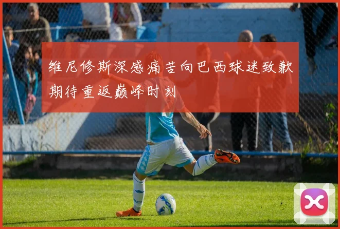 维尼修斯深感痛苦向巴西球迷致歉期待重返巅峰时刻